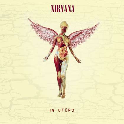 Nirvana - In Utero cover